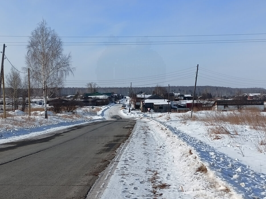 д. Колясникова, ул. Свердлова, 17 (городской округ Камышловский) - фото земельного участка (3)
