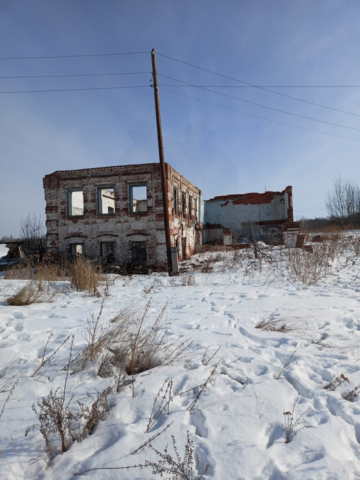 д. Колясникова, ул. Свердлова, 17 (городской округ Камышловский) - фото земельного участка (5)
