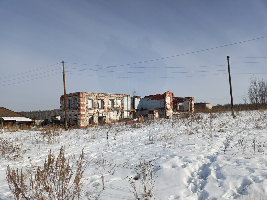 д. Колясникова, ул. Свердлова, 17 (городской округ Камышловский) - фото земельного участка (6)