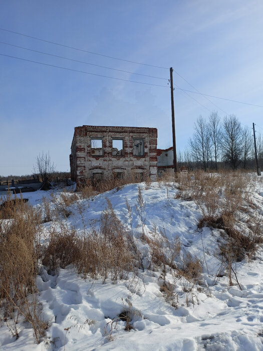 д. Колясникова, ул. Свердлова, 17 (городской округ Камышловский) - фото земельного участка (7)