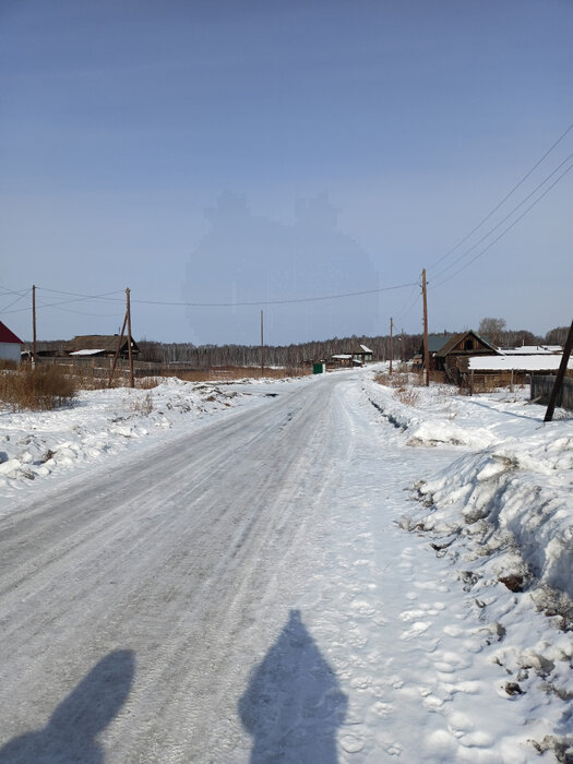 д. Колясникова, ул. Свердлова, 17 (городской округ Камышловский) - фото земельного участка (8)