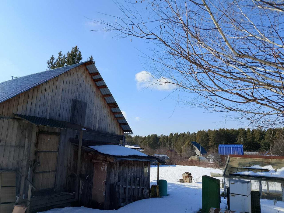 п. Хризолитовый, СНТ 50 Лет Победы (городской округ Белоярский) - фото сада (8)
