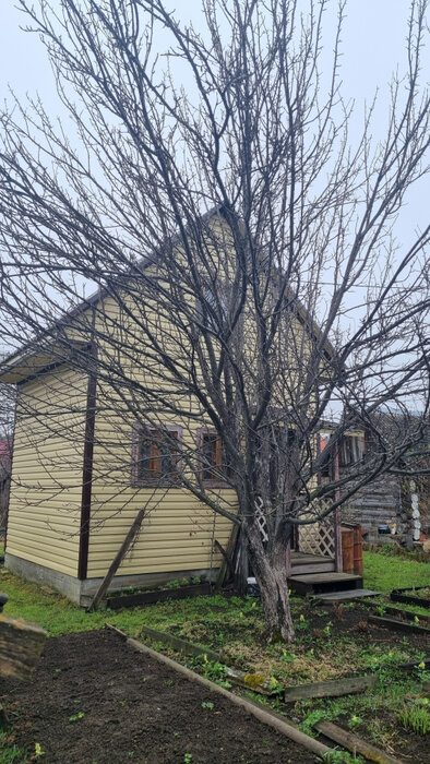 Екатеринбург, СНТ №5 УЗХМ (Химмаш) - фото сада (2)