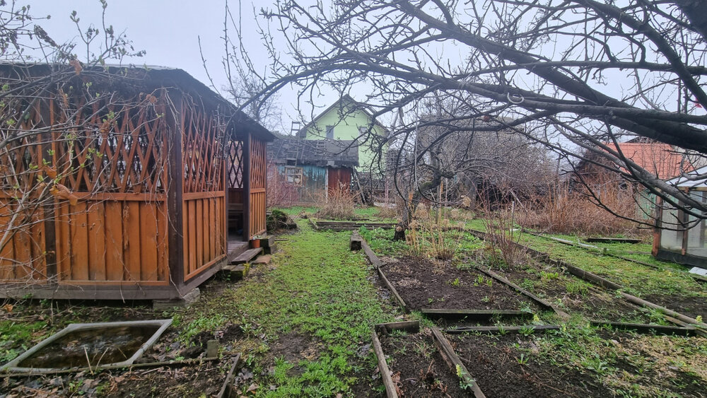 Екатеринбург, СНТ №5 УЗХМ (Химмаш) - фото сада (8)
