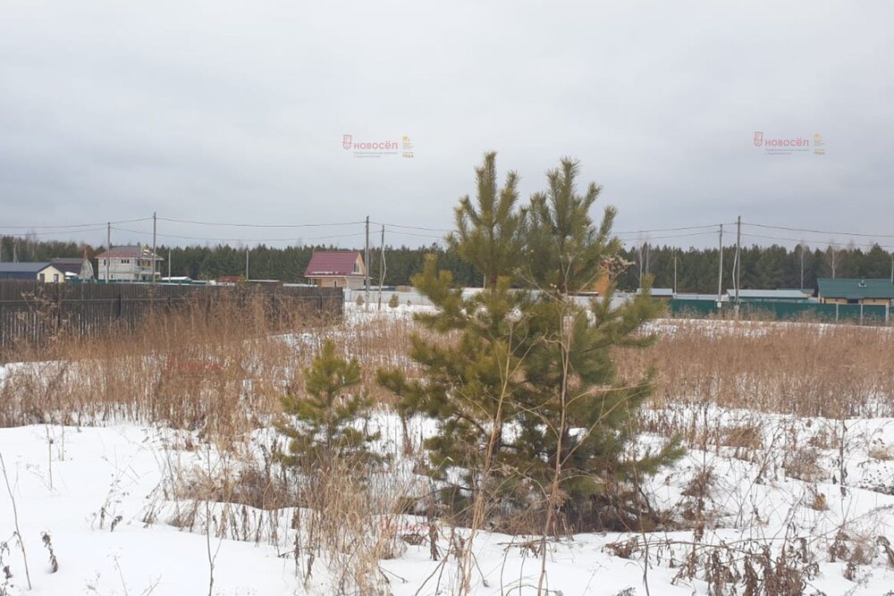 с. Щелкун, ул. ДП Разгуляй, 51 (городской округ Сысертский) - фото земельного участка (2)