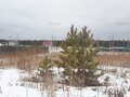 Продажа земельного участка: с. Щелкун, ул. ДП Разгуляй, 51 (городской округ Сысертский) - Фото 2
