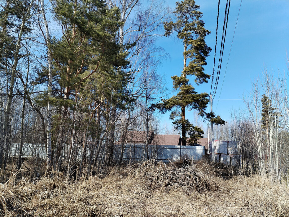 ДПК Созвездие Премиум (городской округ Екатеринбург) - фото земельного участка (1)