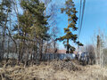 Продажа земельного участка: ДПК Созвездие Премиум (городской округ Екатеринбург) - Фото 1