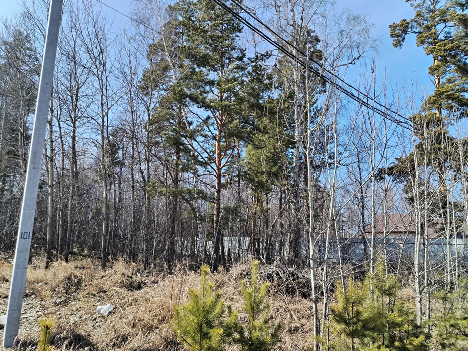 ДПК Созвездие Премиум (городской округ Екатеринбург) - фото земельного участка (3)