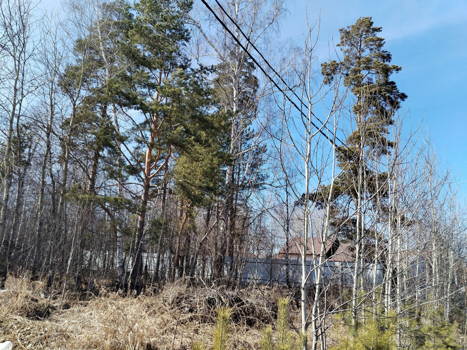 ДПК Созвездие Премиум (городской округ Екатеринбург) - фото земельного участка (4)