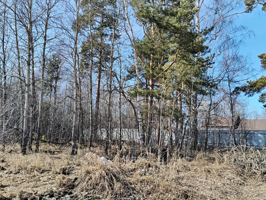 ДПК Созвездие Премиум (городской округ Екатеринбург) - фото земельного участка (6)