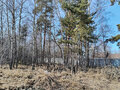 Продажа земельного участка: ДПК Созвездие Премиум (городской округ Екатеринбург) - Фото 6
