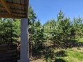 Продажа дома: к.п. Дарвин, ул. Дарвина, 40 (городской округ Белоярский, п. Рассоха) - Фото 5