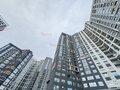 Аренда торговой площади: Екатеринбург, ул. 8 Марта, 204Д (Ботанический) - Фото 8