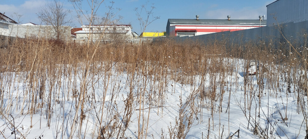 г. Арамиль, ул. Рабочая, 14 (городской округ Арамильский) - фото дома (8)