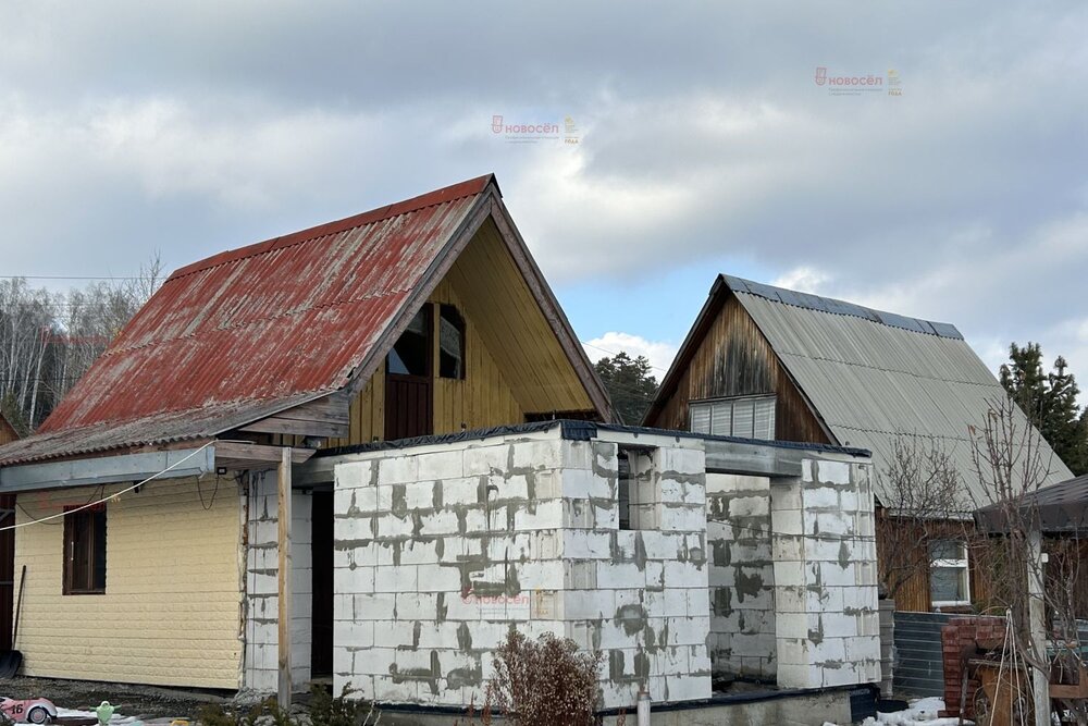 Екатеринбург, СНТ Березки -2, уч. 2 - фото сада (4)
