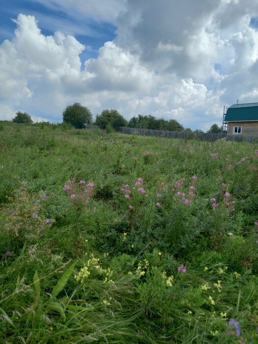 г. Раскатиха, ул. Копейская, 13А (городской округ Алапаевский) - фото земельного участка (1)