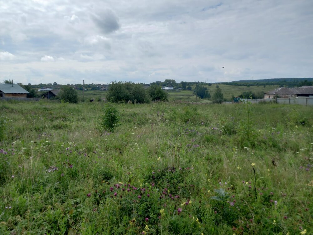 г. Раскатиха, ул. Копейская, 13А (городской округ Алапаевский) - фото земельного участка (2)