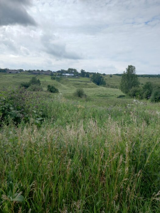 г. Раскатиха, ул. Копейская, 13А (городской округ Алапаевский) - фото земельного участка (3)