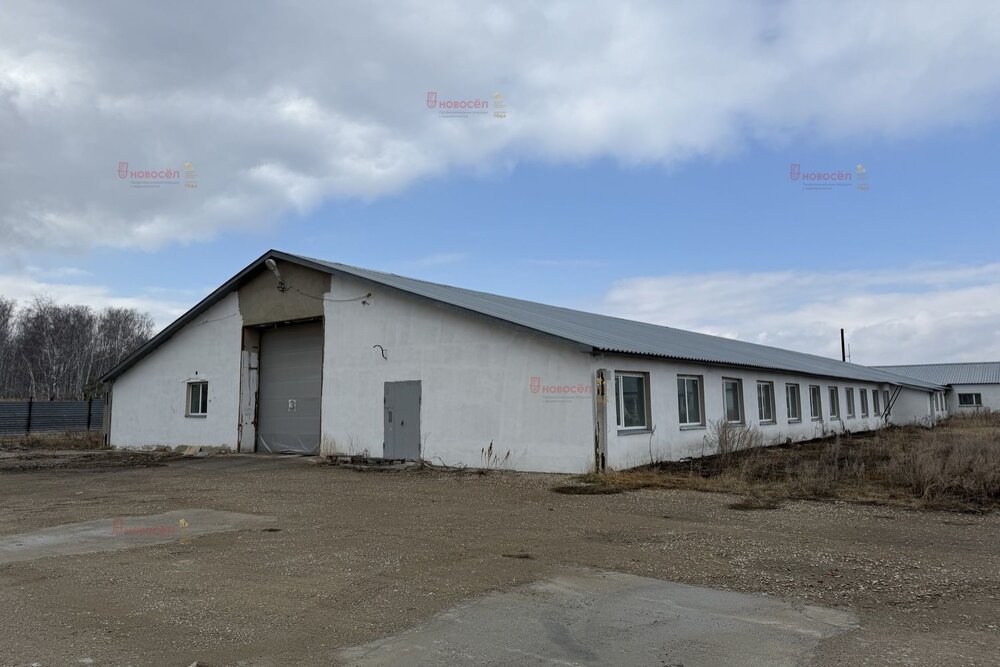  Мартюш, ул. Гагарина, 43 (городской округ Каменский) - фото торговой площади (5)