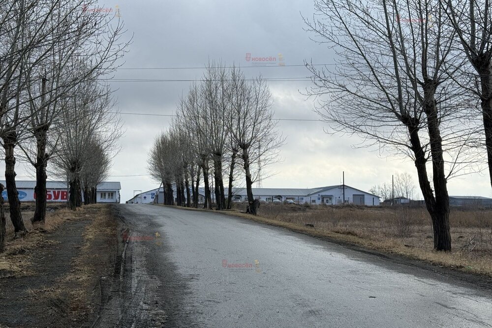  Мартюш, ул. Гагарина, 43 (городской округ Каменский) - фото торговой площади (6)