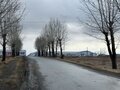 Аренда торговой площади:  Мартюш, ул. Гагарина, 43 (городской округ Каменский) - Фото 6