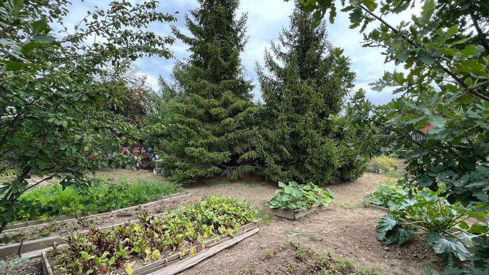 п. Санаторный, ул. Набережная, 13А (городской округ Верхняя Пышма) - фото земельного участка (3)