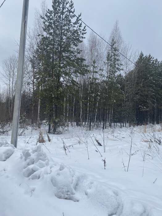 с. Мостовское (г.о. Вехняя Пышма), к/с Оазис, ул. Зелёная, 27 (городской округ Верхняя Пышма) - фото сада (2)