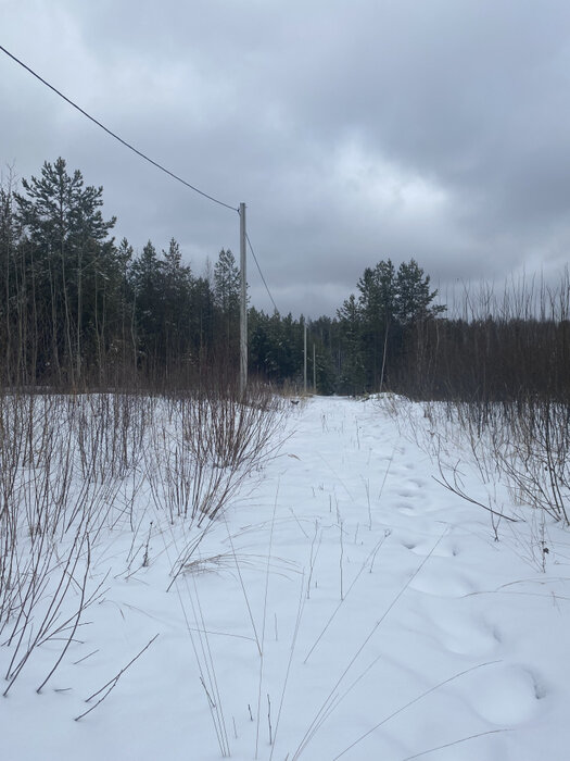 с. Мостовское (г.о. Вехняя Пышма), к/с Оазис, ул. Зелёная, 27 (городской округ Верхняя Пышма) - фото сада (4)