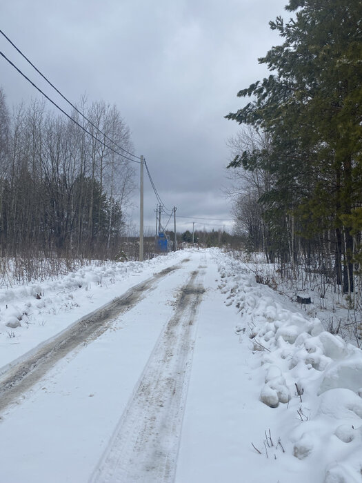 с. Мостовское (г.о. Вехняя Пышма), к/с Оазис, ул. Зелёная, 27 (городской округ Верхняя Пышма) - фото сада (5)