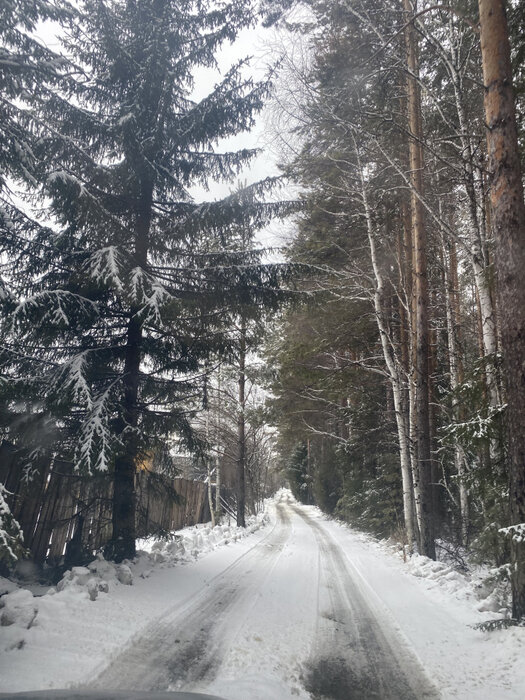 с. Мостовское (г.о. Вехняя Пышма), к/с Оазис, ул. Зелёная, 27 (городской округ Верхняя Пышма) - фото сада (7)