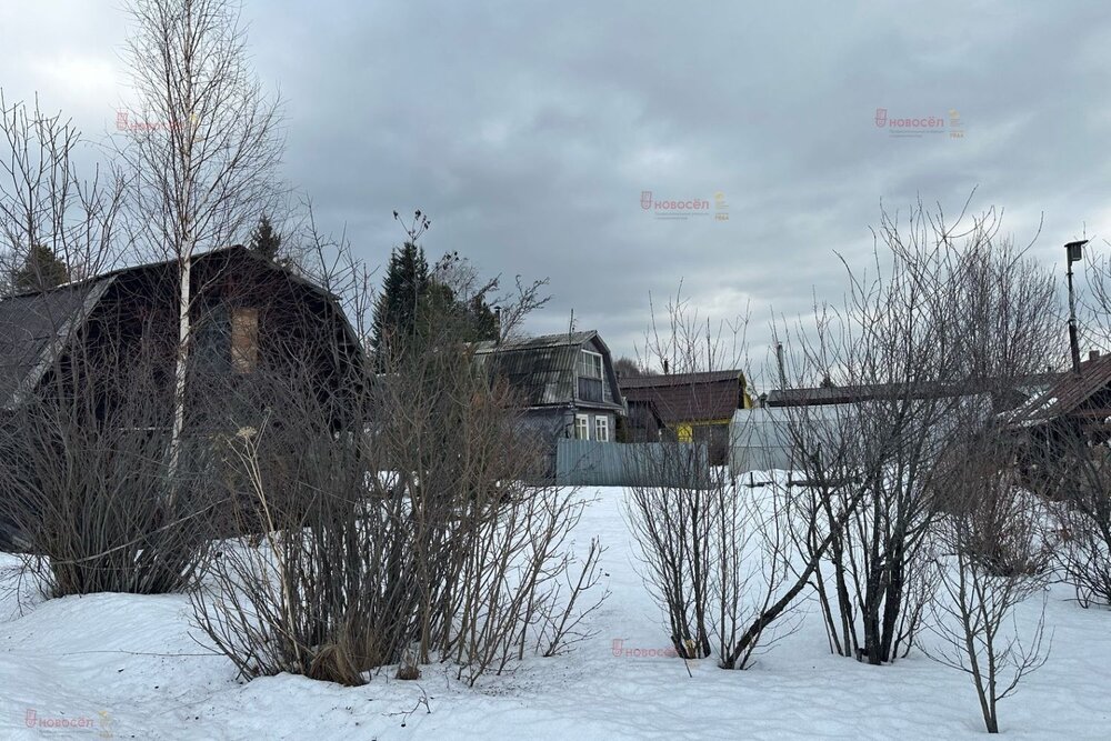 п. Решеты, СНТ Монтажник (городской округ Первоуральск) - фото сада (2)
