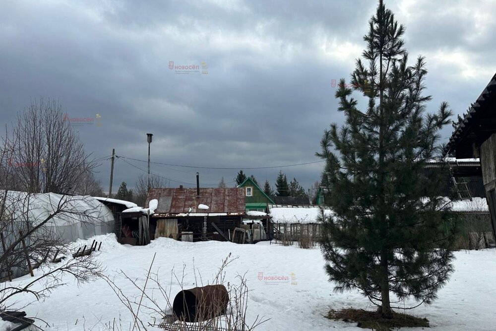 п. Решеты, СНТ Монтажник (городской округ Первоуральск) - фото сада (4)