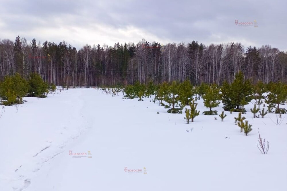 с. Кунгурка, СОТ УРАЛ (городской округ Ревда) - фото сада (1)