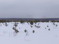 Продажа садового участка: с. Кунгурка, СОТ УРАЛ (городской округ Ревда) - Фото 3