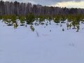 Продажа садового участка: с. Кунгурка, СОТ УРАЛ (городской округ Ревда) - Фото 6
