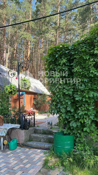 п. Каменка (г.о. Сысертский), СНТ Гудок-2   (городской округ Сысертский) - фото сада (4)