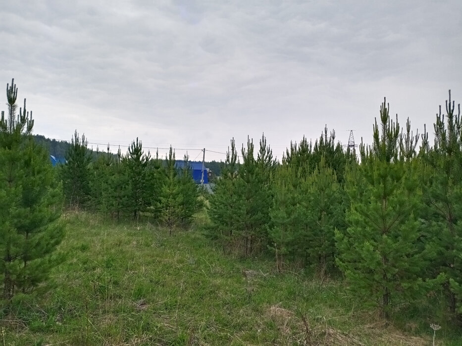 к.п. Зелёные Просторы (городской округ Екатеринбург) - фото земельного участка (3)