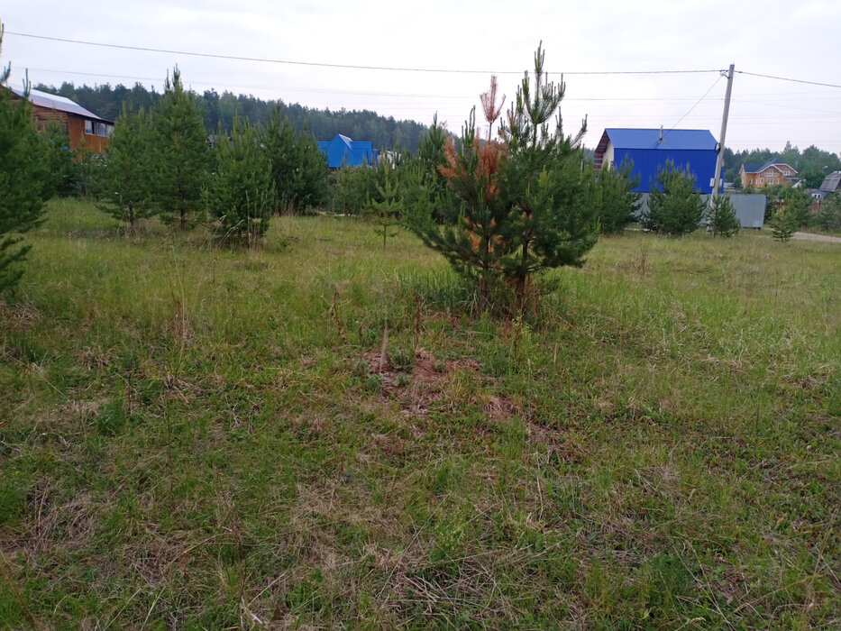 к.п. Зелёные Просторы (городской округ Екатеринбург) - фото земельного участка (4)