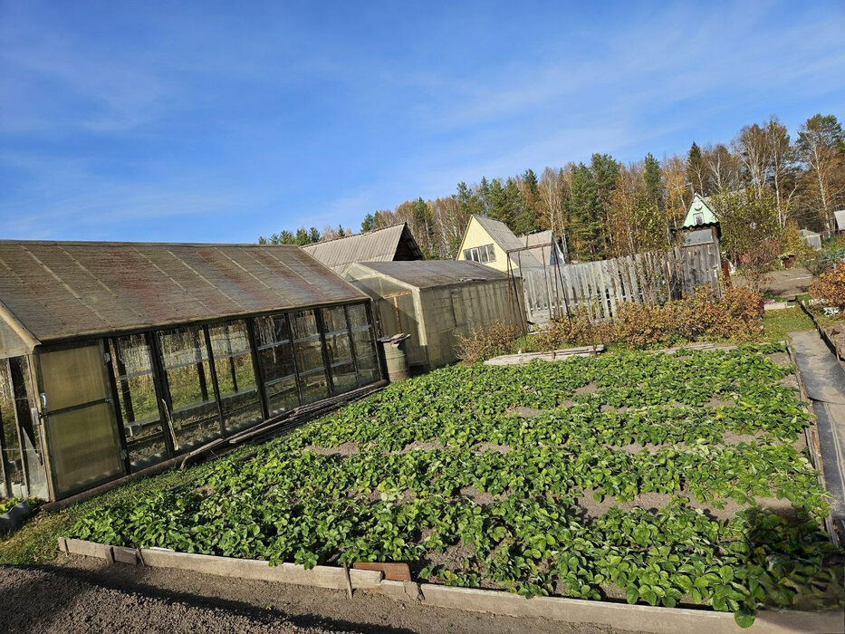 г. Нижний Тагил, ул. Меркурий, 55 (городской округ Нижний Тагил) - фото дачи (8)