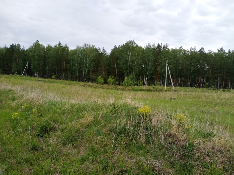 к.п. Зелёные Просторы (городской округ Екатеринбург) - фото земельного участка (3)