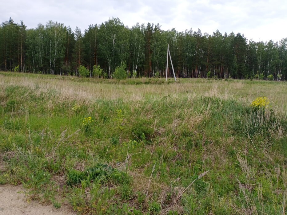 к.п. Зелёные Просторы (городской округ Екатеринбург) - фото земельного участка (4)