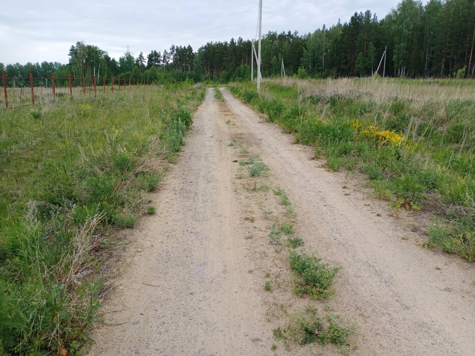 к.п. Зелёные Просторы (городской округ Екатеринбург) - фото земельного участка (5)