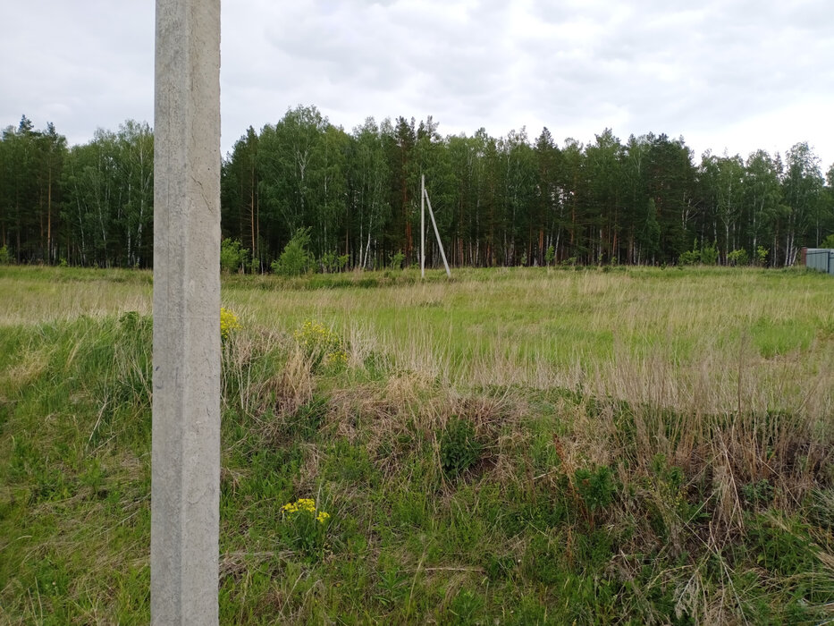к.п. Зелёные Просторы (городской округ Екатеринбург) - фото земельного участка (6)