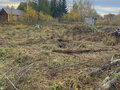 Продажа садового участка: Екатеринбург, СНТ Рассвет (Шабровский) - Фото 4