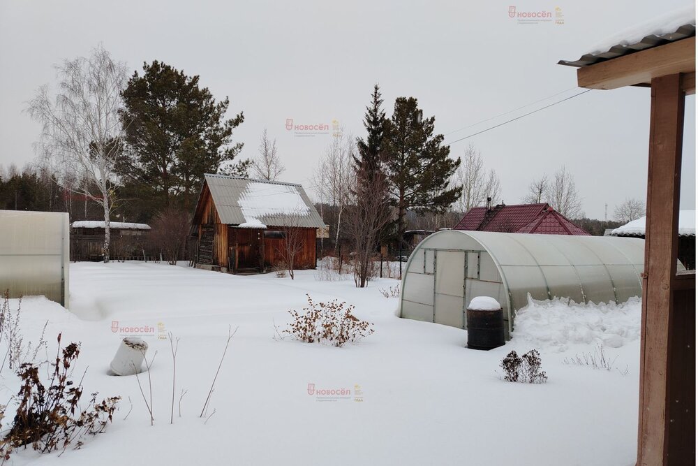 г. Верхняя Пышма, СНТ Еланцы (городской округ Верхняя Пышма) - фото сада (4)