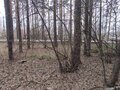 Продажа земельного участка: к.п. Палникс, ул. Косотурская, 7 (Верх-Исетский район) - Фото 2