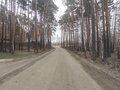 Продажа земельного участка: к.п. Палникс, ул. Косотурская, 7 (Верх-Исетский район) - Фото 3