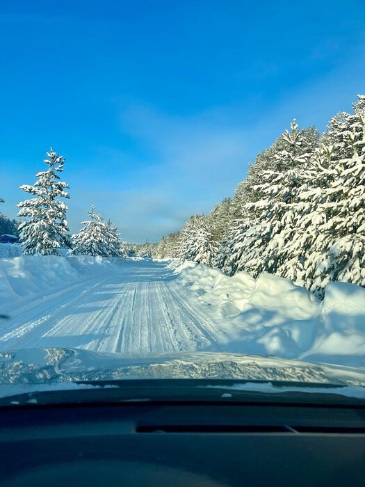 г. Первоуральск, Коллективный сад №1 (городской округ Первоуральск) - фото сада (6)
