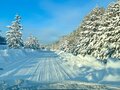 Продажа садового участка: г. Первоуральск, Коллективный сад №1 (городской округ Первоуральск) - Фото 6